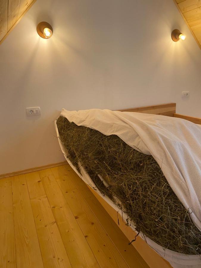 Organic Tourist Farm Pri Plajerju Leilighet Trenta Eksteriør bilde
