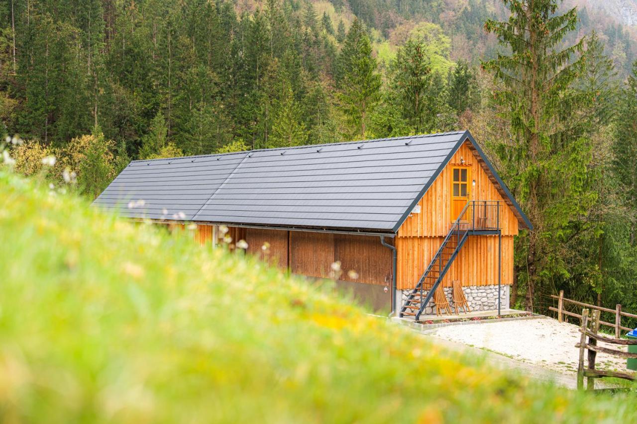 Organic Tourist Farm Pri Plajerju Leilighet Trenta Eksteriør bilde